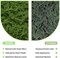 Fake Green Moss 10.6 oz Decorative Artificial Moss for Crafts Artificial Dark Faux Moss for DIY Table Centerpieces Wedding Party Decor Fairy Garden Floral